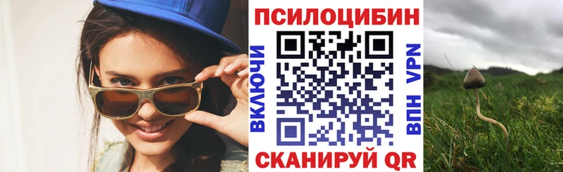 площадка какой сайт  Чебоксары  Галлюциногенные грибы мицелий 